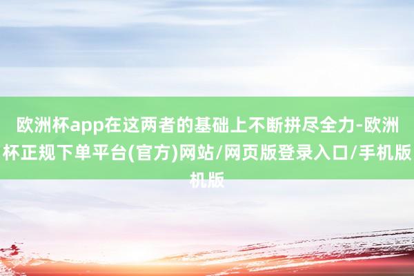 欧洲杯app在这两者的基础上不断拼尽全力-欧洲杯正规下单平台(官方)网站/网页版登录入口/手机版